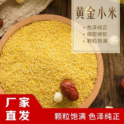 *东北有机黄小米2.5kg/袋JL 商品图4
