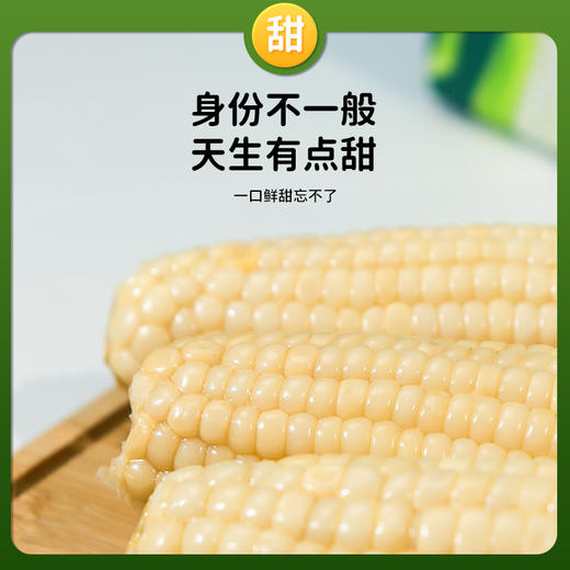 【3h极速锁鲜】非转基因鲜食白甜糯玉米10穂/箱JL 商品图4