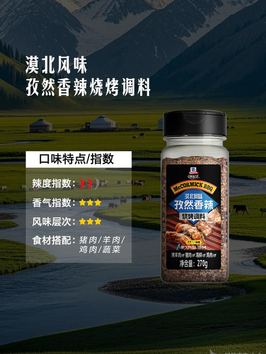 MM 山姆 味好美 烧烤料套装 550g（孜然香辣烧烤调料270g+黑胶牛油烧烤调料280g） 商品图3