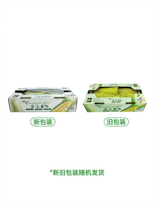 MM 山姆 翡玉脆瓜 3kg 商品图7