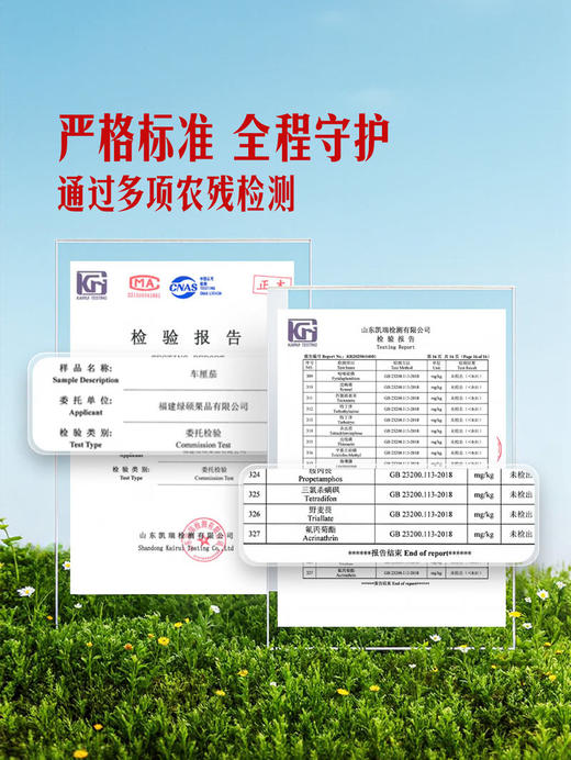 MM 山姆 车厘茄 1.25kg 商品图3
