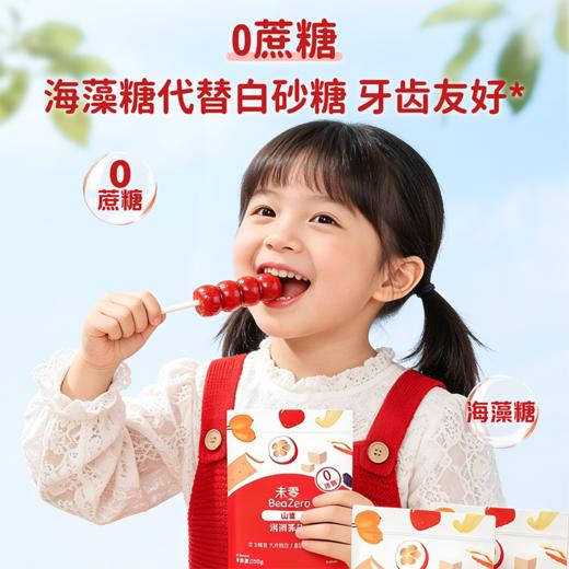 【新品必拍】未零山楂消消棒消消串0脂肪鸡内金儿童健康零食 商品图1