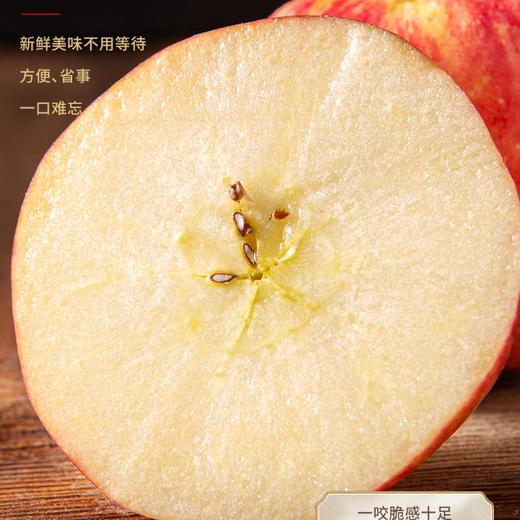 力邦6号红苹果85#（12枚装） 商品图1