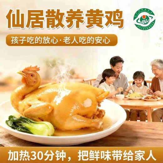 正宗仙居散养三黄鸡，山林散养，五谷为食，无害加工，活鸡现杀加工 商品图2