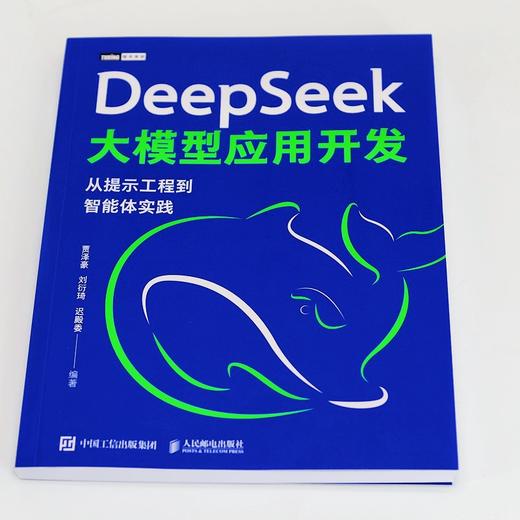 DEEPSEEK大模型应用开发：从提示工程到智能体实践 商品图1
