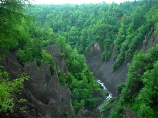 五一4日【长白山】北有长白·与云齐兮の长白山北坡-五女山杜鹃-沈阳 商品图7