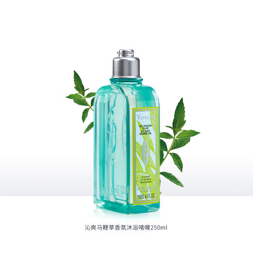 3253581766309 欧舒丹L'OCCITANE 【多种香型】沁爽马鞭草沐浴露250ML保湿滋润持久留香 商品图1