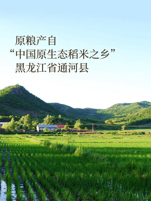 十月稻田优质东北大米长粒香5kg*2  山姆会员店商品非商品原因不支持退款 商品图2