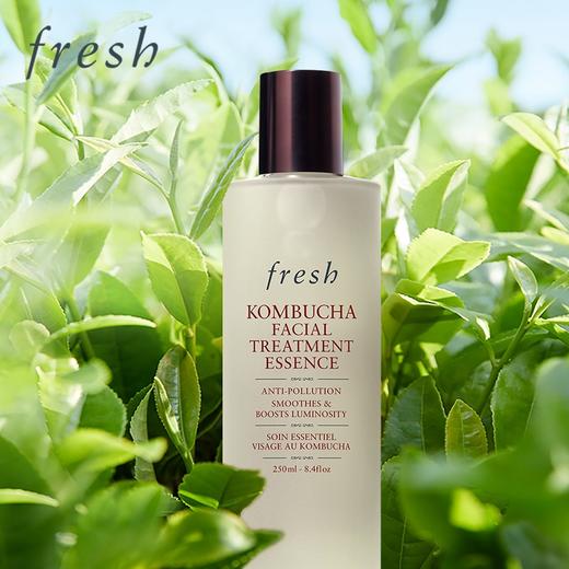 Fresh馥蕾诗酵母酵萃红茶水250ml保湿补水清爽精华水 商品图4