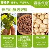 *长白山森林气息开口脆榛子245g/罐JL 商品缩略图2