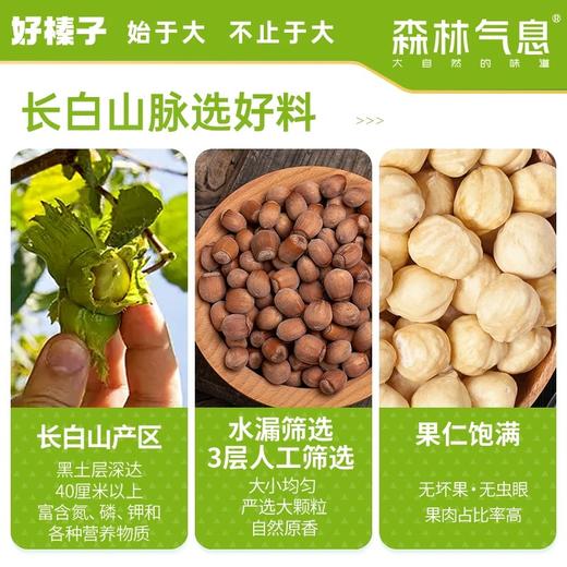 *长白山森林气息开口脆榛子245g/罐JL 商品图2