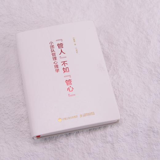 管人不如管心:小团队管理心理学:口袋版 商品图3