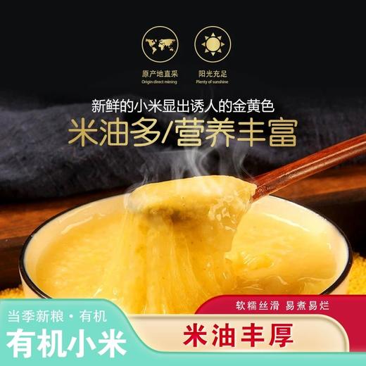 *东北有机黄小米2.5kg/袋JL 商品图3