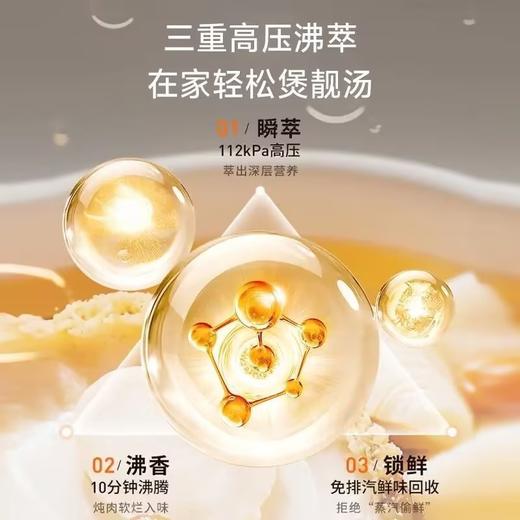 九阳免排气电压力煲0涂层316L不锈钢双球胆112kPa猛火IH电压力锅 商品图5