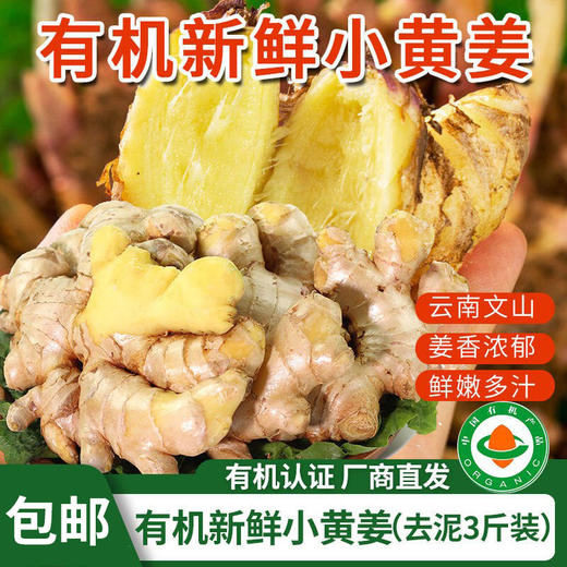 【厂商直发】云南文山有机新鲜小黄姜3斤/5斤装去泥姜香浓郁包邮 商品图8