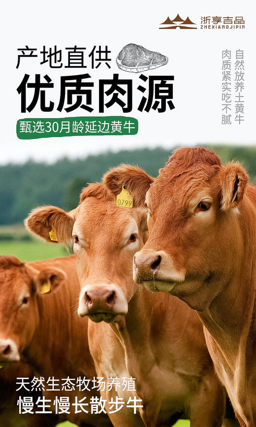 【月满中秋礼】现宰冷链正宗延边黄牛肉+双无抗黑猪肉烤肠桂秋肉萃礼盒套餐JL 商品图4