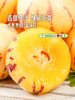 MM 山姆 云南人参果 1kg 商品缩略图2