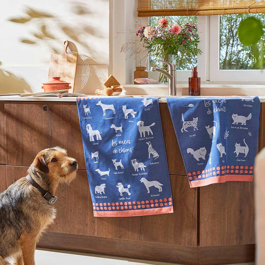 Coucke蔻合 · 法国原装进口·提花茶巾 商品图3