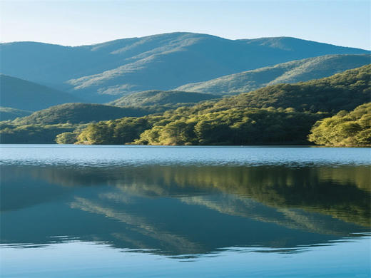 五一4日【溧阳竹光】江南人文山水の竹海秘境-湖光禅意-南山竹海-窑湖小镇-天目湖-报恩禅寺-溧阳夜景-南京 商品图4