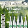 *长白山100%天然白桦树原汁饮320ml*6瓶/箱JL 商品缩略图3