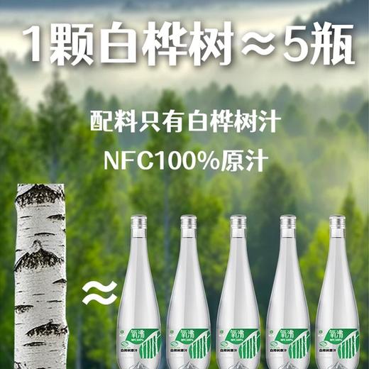 *长白山100%天然白桦树原汁饮320ml*6瓶/箱JL 商品图3