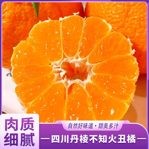 四川丹棱不知火丑橘 商品图0