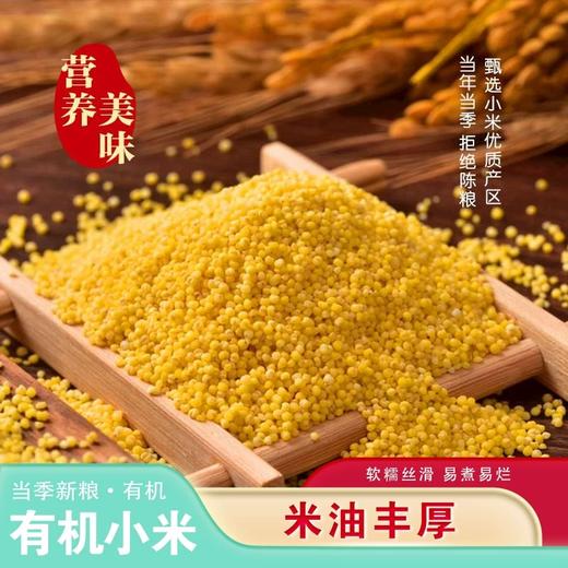*东北有机黄小米2.5kg/袋JL 商品图2