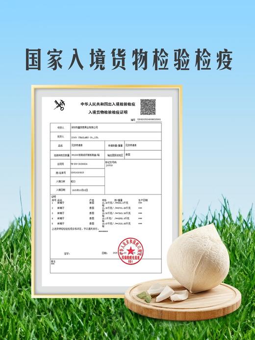 MM 山姆 泰国椰皇6粒（净含量2.1kg） 商品图3