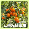 【云南花香无核蜜柑】春日甜蜜暴击爆汁花香蜜柑，一口咬出阳光的味道🌞 商品缩略图4