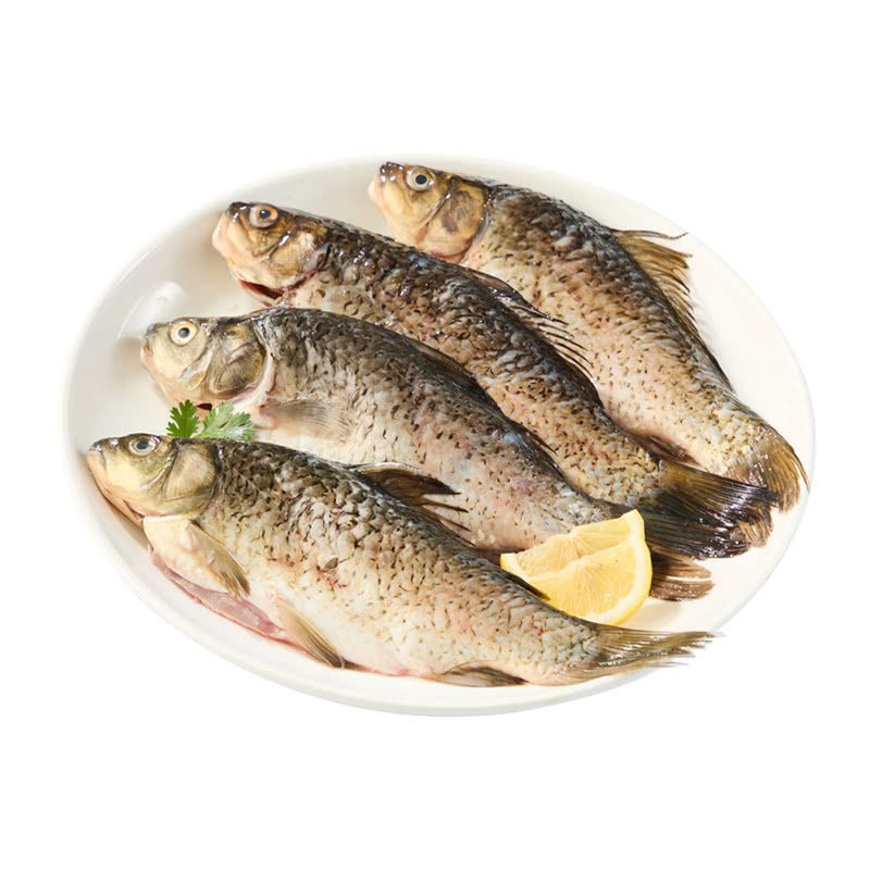 MM 山姆 千岛湖三去鲫鱼4条 1kg