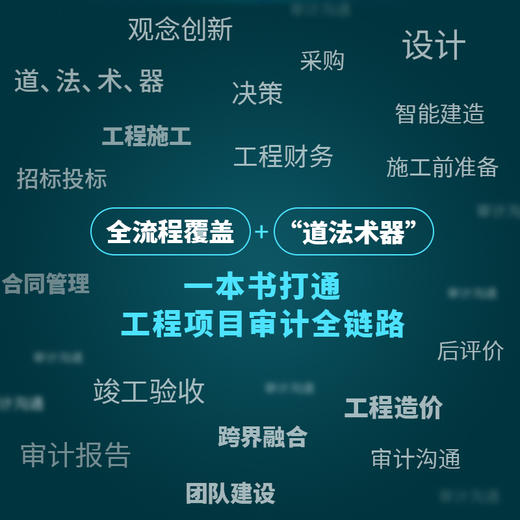 新编工程项目审计一点通 新基建工程全流程审计融合实战案例 企业内部审计工程项目管理书籍 商品图2