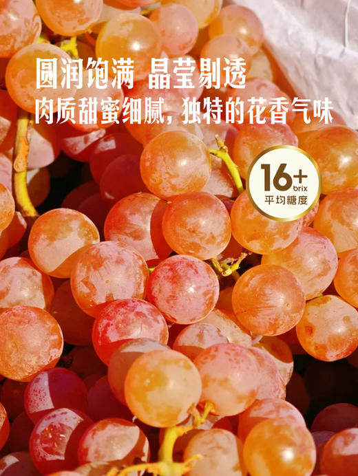 MM 山姆 智利香妃葡萄 900g 商品图2