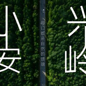 【联合发班】2026小兴安岭丨北纬 47°森境栖居，奔赴小兴安岭秘境，邂逅一场清凉治愈的森系盛夏