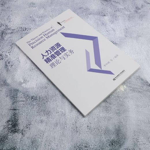 人力资源精准管理理论与实务 商品图1