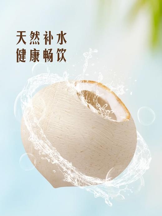 MM 山姆 泰国椰皇6粒（净含量2.1kg） 商品图5