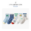 ⁴【发5双】卡拉美拉春夏款童袜 适合1-12岁 YC04-CR-BDT 商品缩略图5