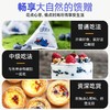 【高校专属&全场满99包邮】长白山蓝莓果干 100g/袋*3JL 商品缩略图4