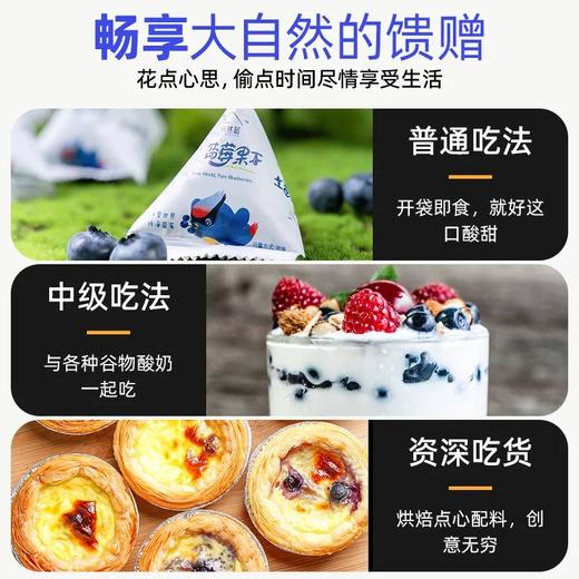 【高校专属&全场满99包邮】长白山蓝莓果干 100g/袋*3JL 商品图4
