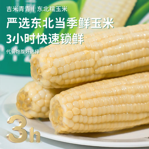 【3h极速锁鲜】非转基因鲜食白甜糯玉米10穂/箱JL 商品图1
