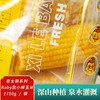 *喜太萌baby款东北甜糯小棒真空鲜食玉米粗粮JL 商品缩略图1
