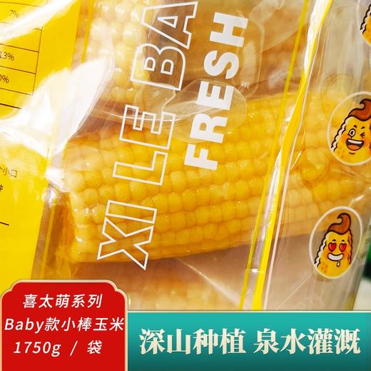 *喜太萌baby款东北甜糯小棒真空鲜食玉米粗粮JL 商品图1