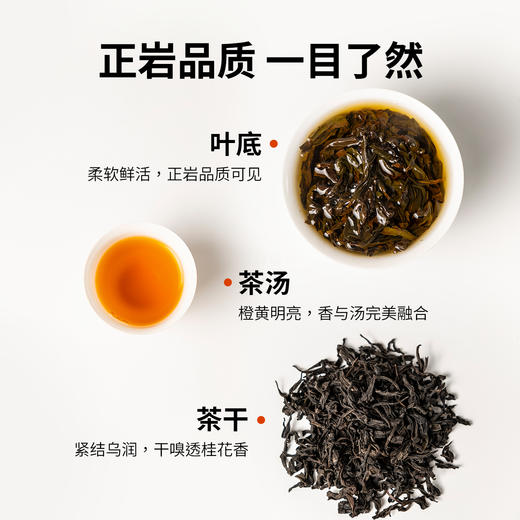 【窠岩氏】02九龙窠奇丹80g 商品图5