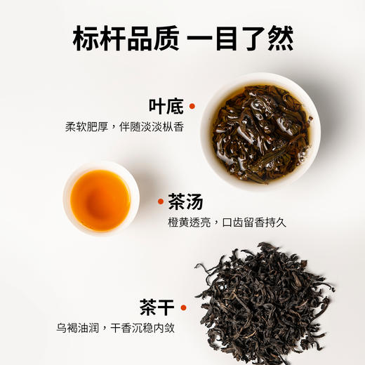 【窠岩氏】01九龙窠老树肉桂80g 商品图5