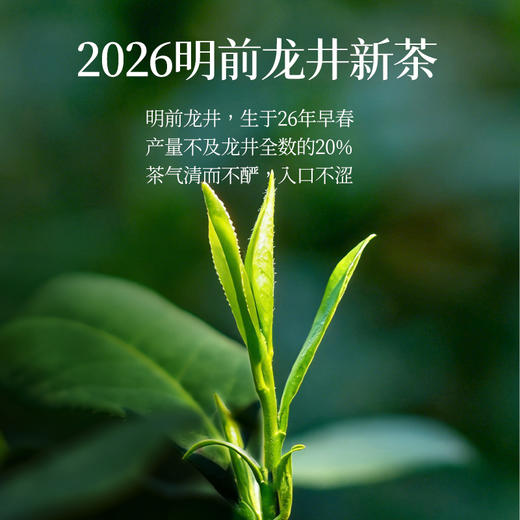 【2-5天发货】认养一头牛 冷藏明前龙井茶乳 早春限量 200ml 商品图1