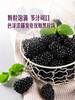 MM 山姆 怡颗梅 黑莓 375g 商品缩略图4