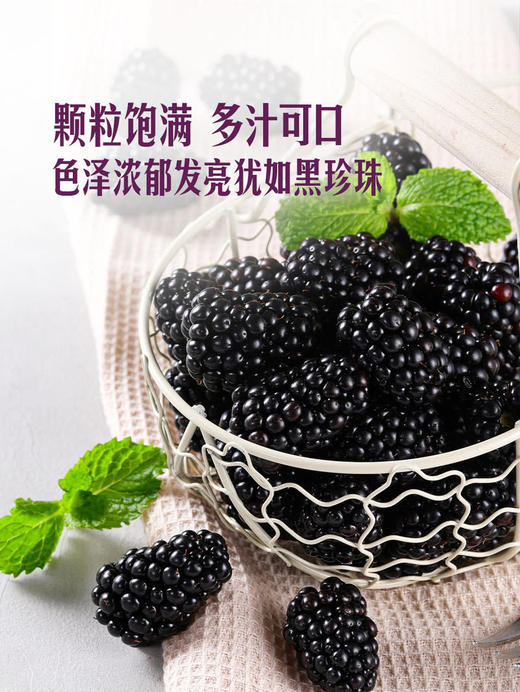 MM 山姆 怡颗梅 黑莓 375g 商品图4
