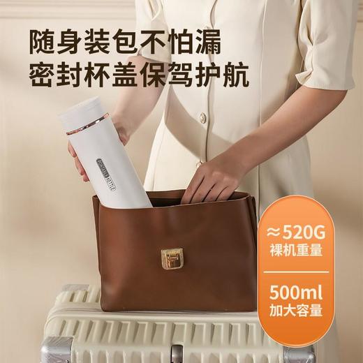 全球通用便携式烧水壶旅行加热烧水杯小型家用热水壶保温杯电热杯 商品图2