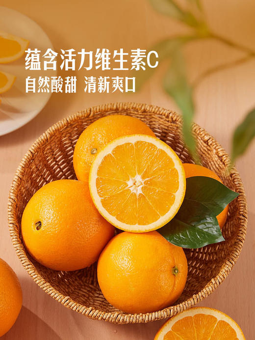 MM 山姆 美国进口 新奇士橙 4.5kg 商品图5