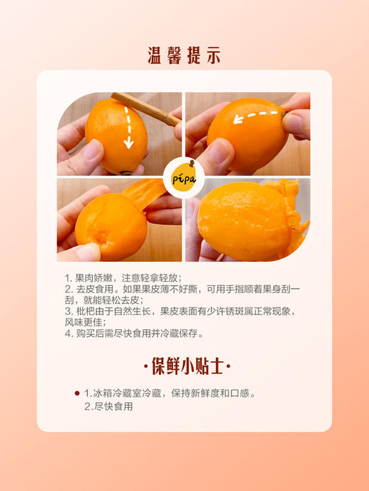MM 山姆 高山玲珑枇杷 800g 商品图7