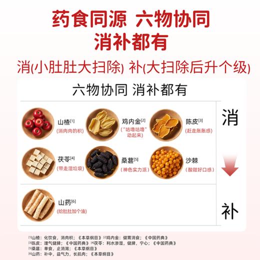 【新品必拍】未零山楂消消棒消消串0脂肪鸡内金儿童健康零食 商品图2